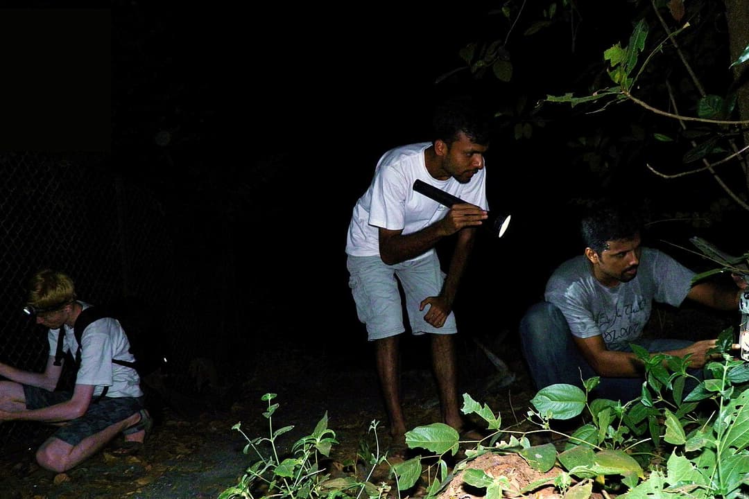 Three men at night setting up or checking camera traps in a forested area, using headlamps and flashlights for visibility