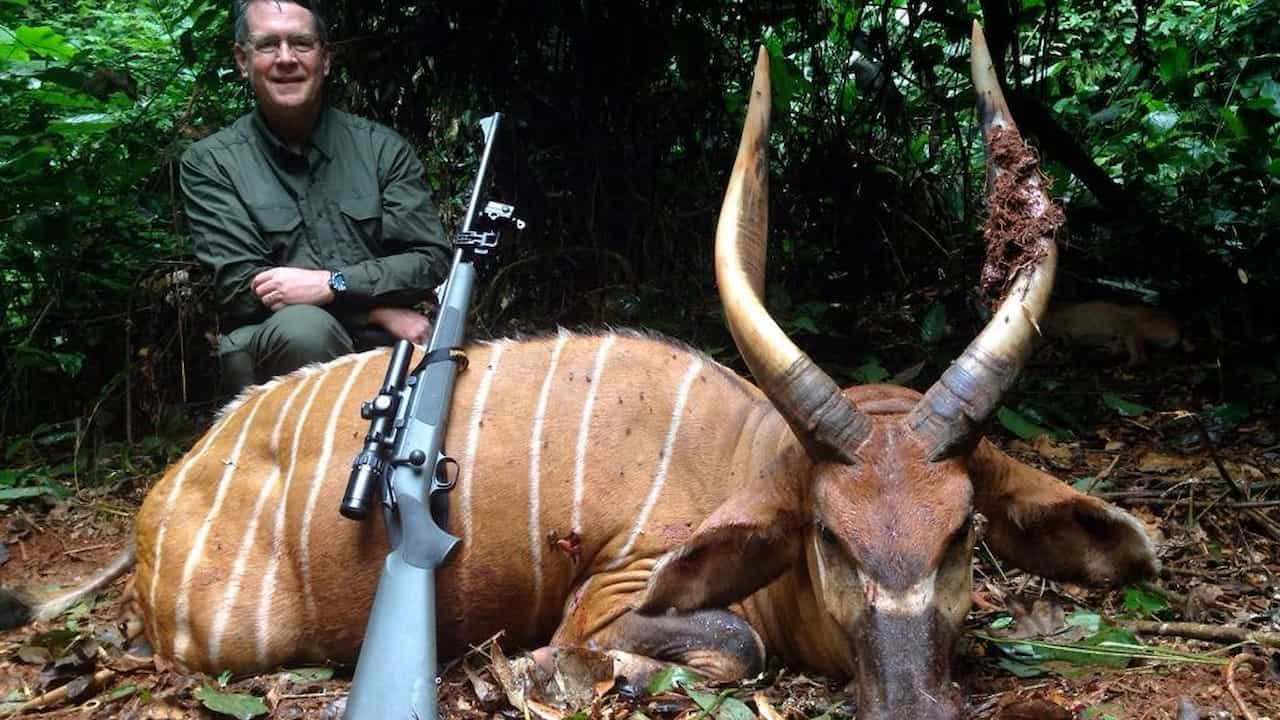 Man posing with a hunted antelope and rifle in a forest