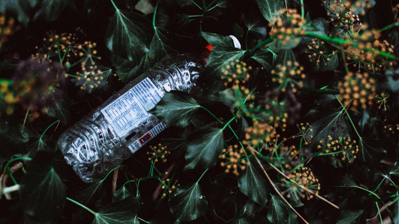 Discarded plastic bottle lying among green leaves and small yellow buds