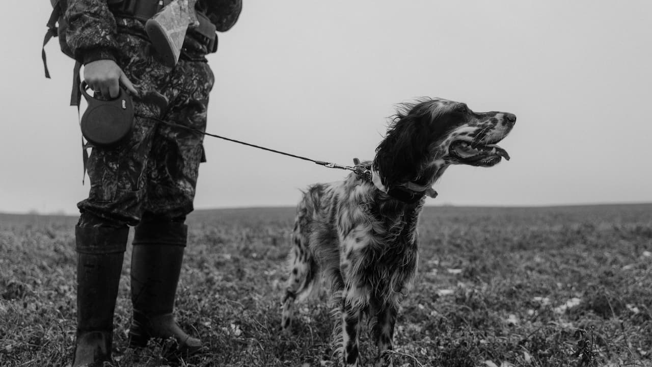 Hunter standing with a spotted hunting dog on a leash in an open field, both facing right, black and white image