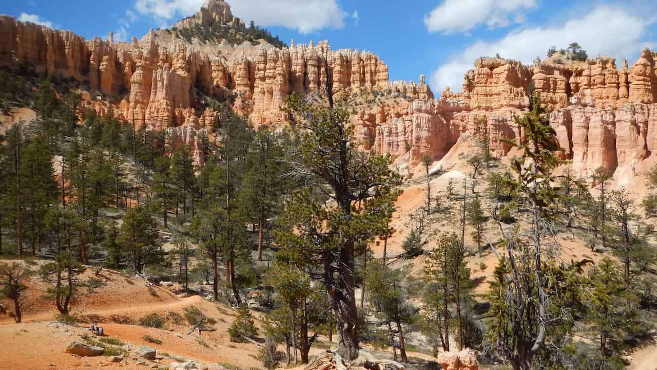 Fairyland Loop Trail with pine trees and dramatic red rock formations at Bryce Canyon