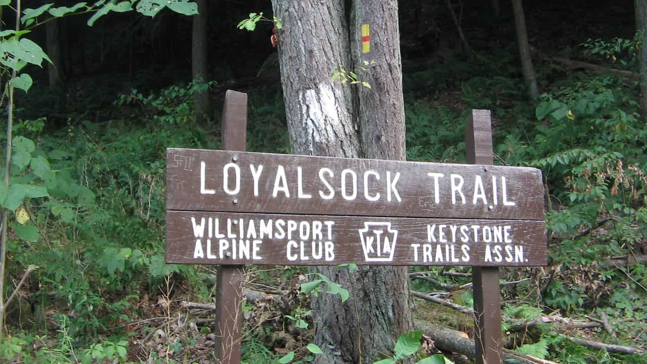 Wooden sign for Loyalsock Trail surrounded by dense forest