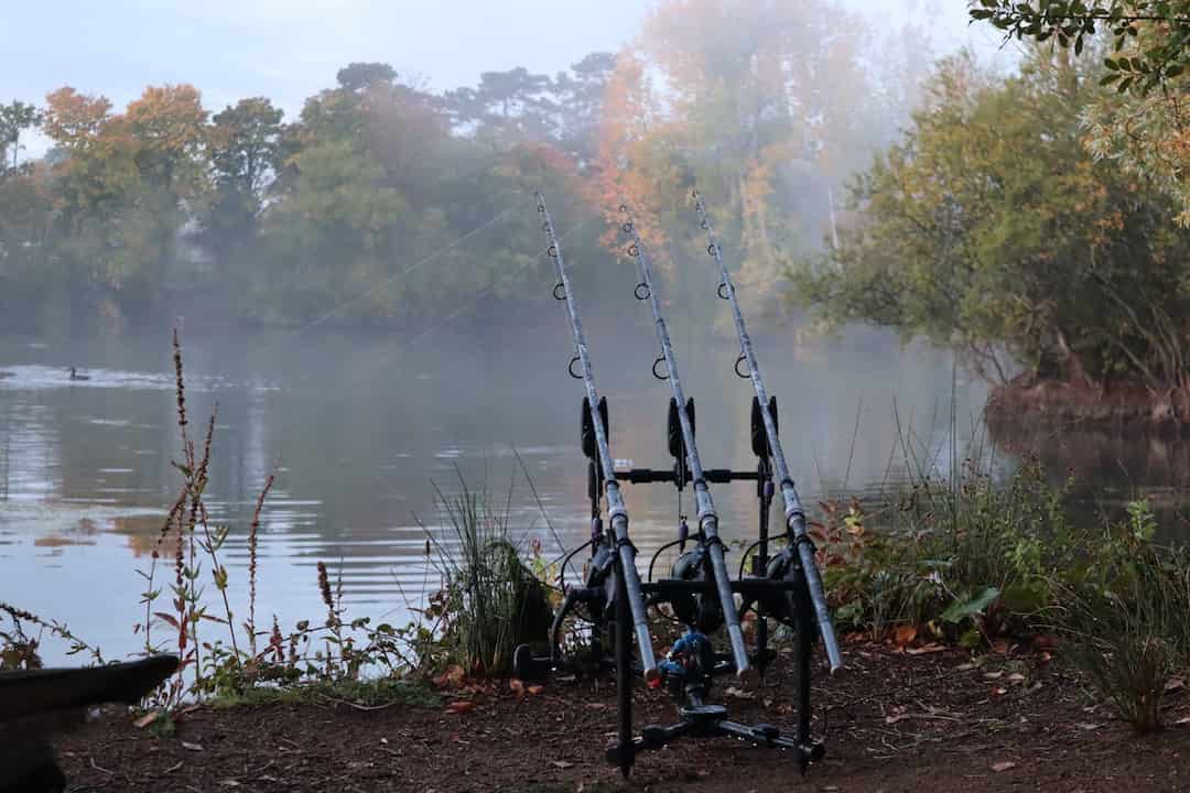 Three fishing rods set up on a bank by a misty lake, surrounded by autumn-colored trees and calm water