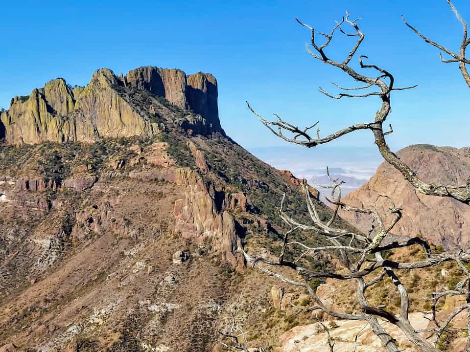 View of rugged cliffs and desert terrain from Lost Mine Trail in Big Bend National Park, with a gnarled tree branch in the foreground