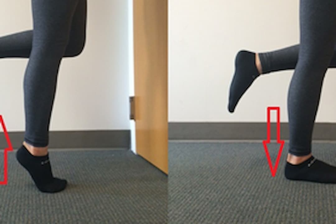 Side-by-side comparison of a person performing a heel drop exercise; left image shows heel raised with red arrow pointing up, right image shows heel lowered with red arrow pointing down