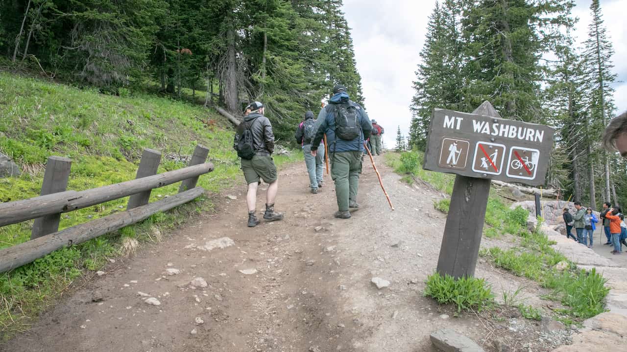 Group of hikers walking uphill on a dirt trail toward Mt. Washburn, passing a wooden signpost with icons indicating hiking is allowed
