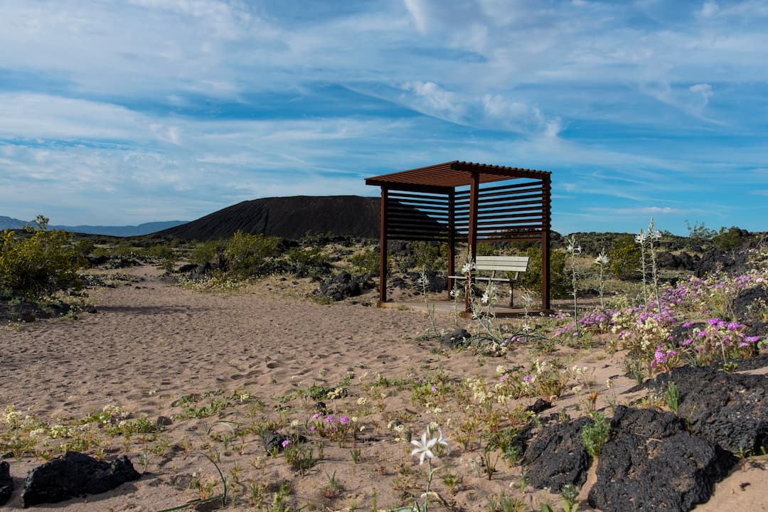 Metal shade structure with a bench on a sandy desert trail, surrounded by wildflowers and volcanic rocks, with a black cinder cone visible in the background under a blue sky