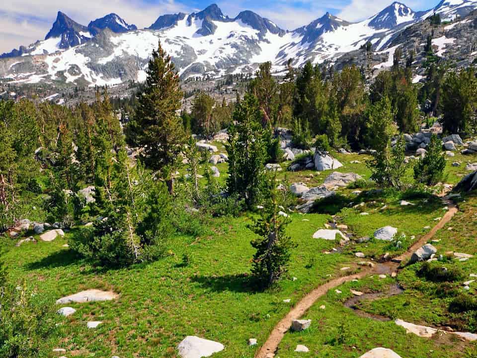 Dirt trail winding through alpine meadow with evergreen trees and snow-covered Ritter Range peaks in the background