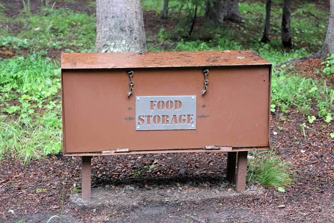 Brown metal food storage box with a lockable lid and a sign labeled "FOOD STORAGE," standing on legs in a forested area