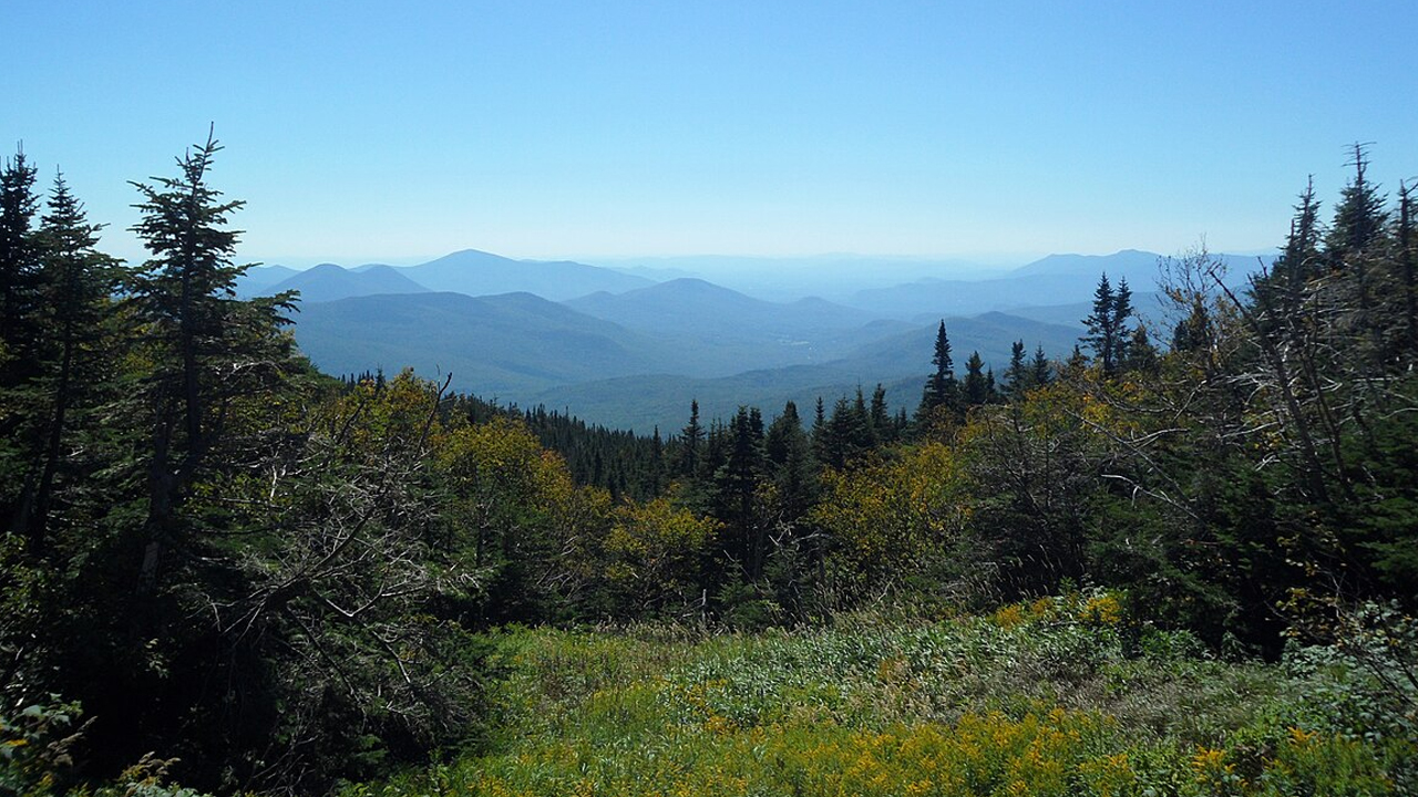 Grassy trail winding over Peter’s Mountain ridge, lined with wildflowers and surrounded by forested hills