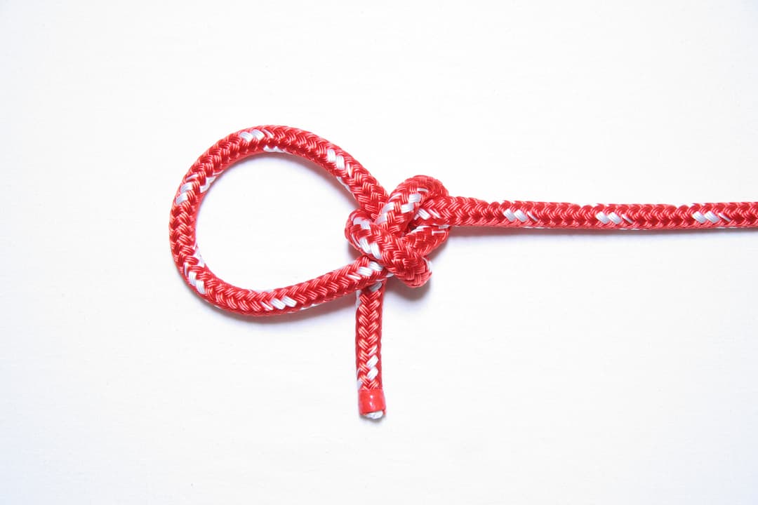 Red rope tied into a Bowline knot, forming a secure fixed loop with the working end exiting cleanly beside the standing part, against a white background