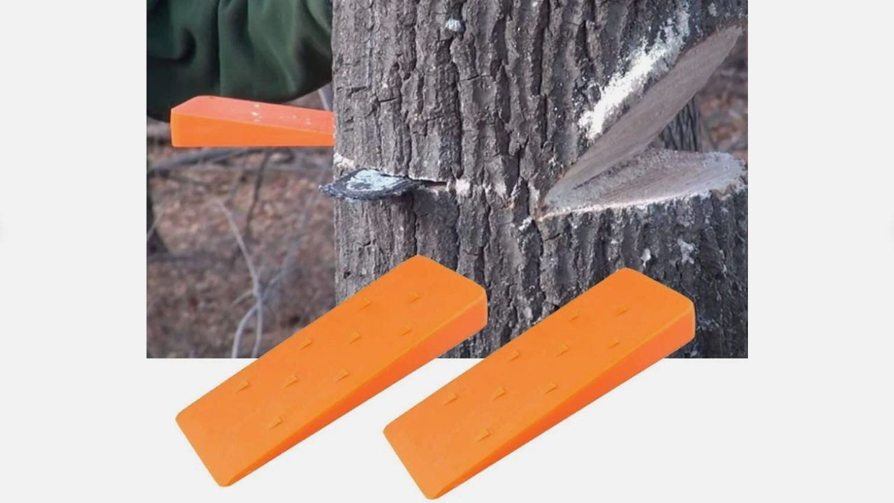 Bright orange plastic felling wedges inserted into a partially cut tree trunk to guide its fall direction