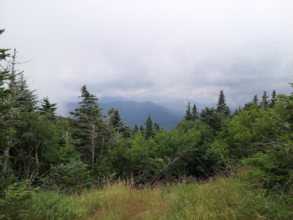 View of a secluded mountain trail surrounded by lush green trees and tall grass, with layers of forested mountain peaks in the background under a cloudy sky in the White Mountains, New Hampshire