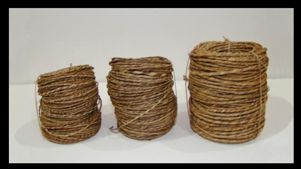 Three bundles of natural cordage made from plant fibers, arranged by size on a white surface