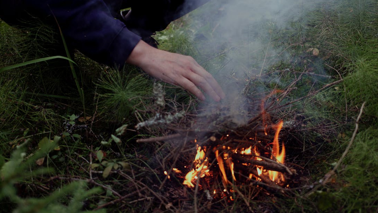 10 Survival Skills Everyone Should Know Before Heading Into the Woods