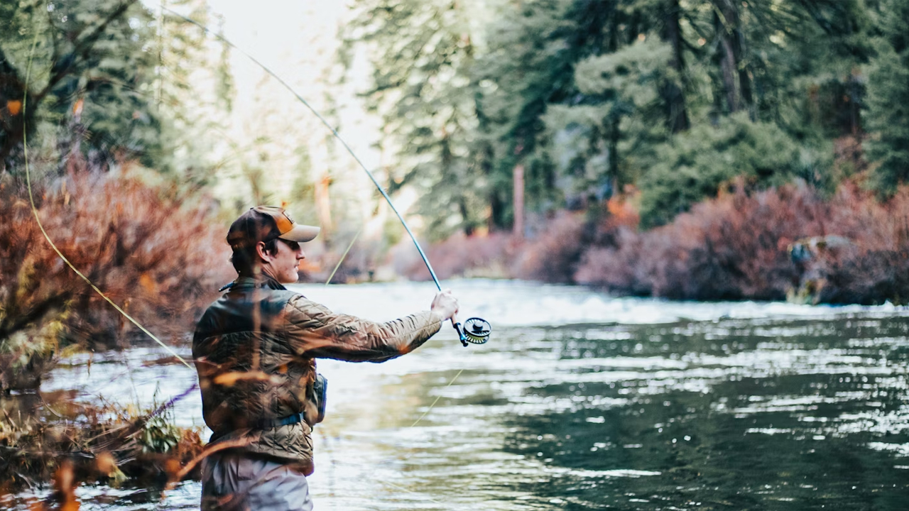Man fly fishing in forest river, casting line, wearing cap and vest, surrounded by tall trees, clear flowing water, autumn foliage