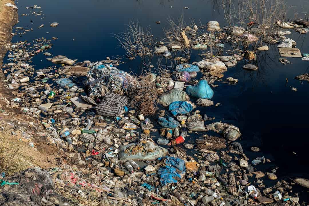 Polluted riverbank, floating plastic bags, bottles, discarded textiles, dead plants, murky water, environmental degradation
