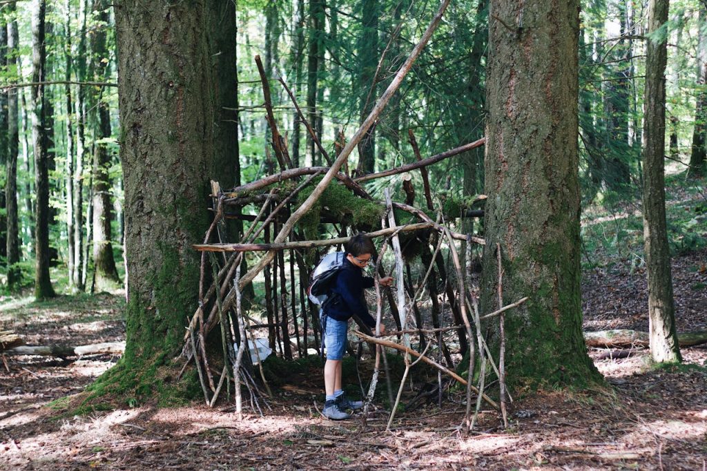 Child building a primitive stick shelter in a forest between two large trees