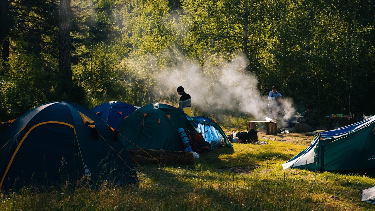 14 Mistakes Campers Make That Attract Wildlife