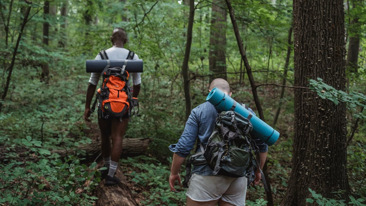 15 Hidden Dangers You Might Miss on the Trail