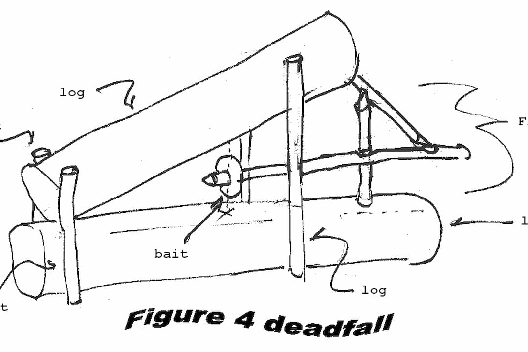 Hand-drawn diagram of a figure-four deadfall trap using logs and sticks, labeled with parts including bait and trigger mechanism