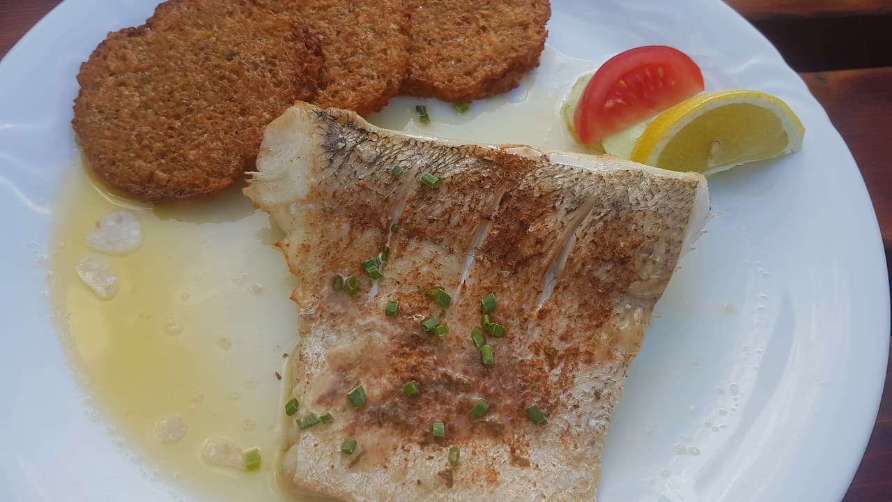 Grilled pike fillet served with potato pancakes, lemon wedge, and tomato slice on a white plate