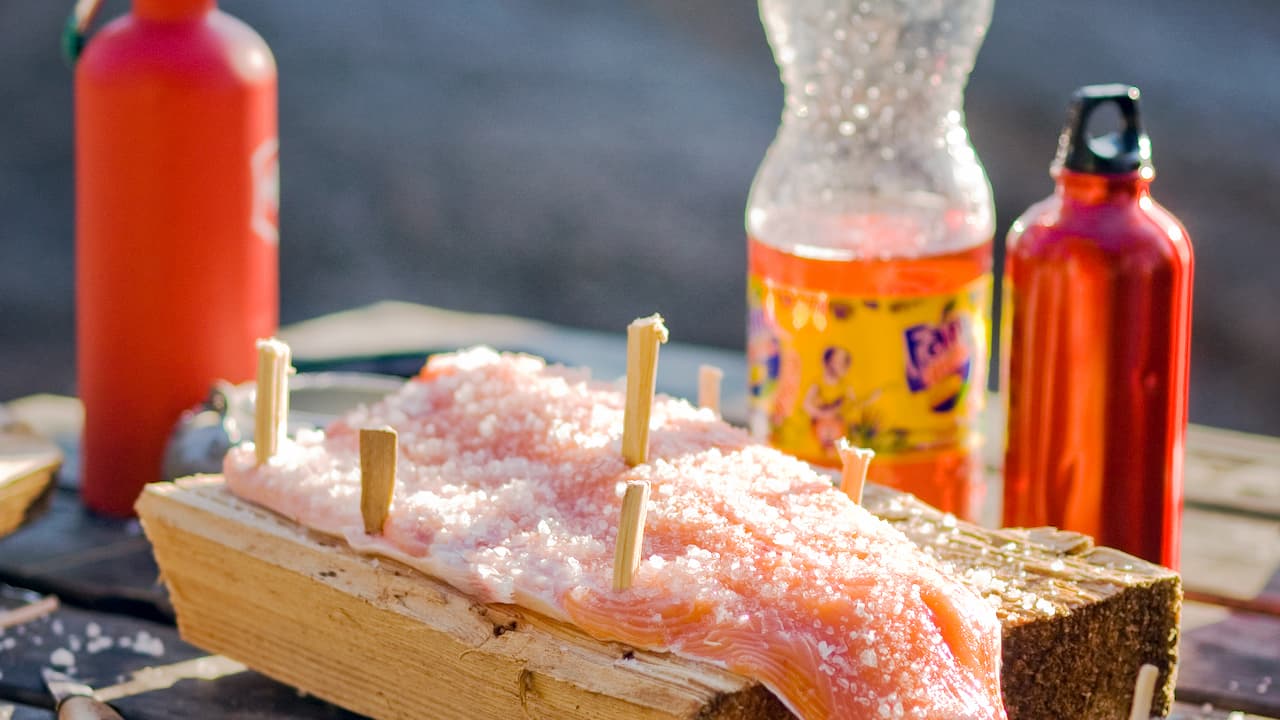 Uncooked salmon fillet salted and pinned to a wooden plank for traditional open-fire cooking