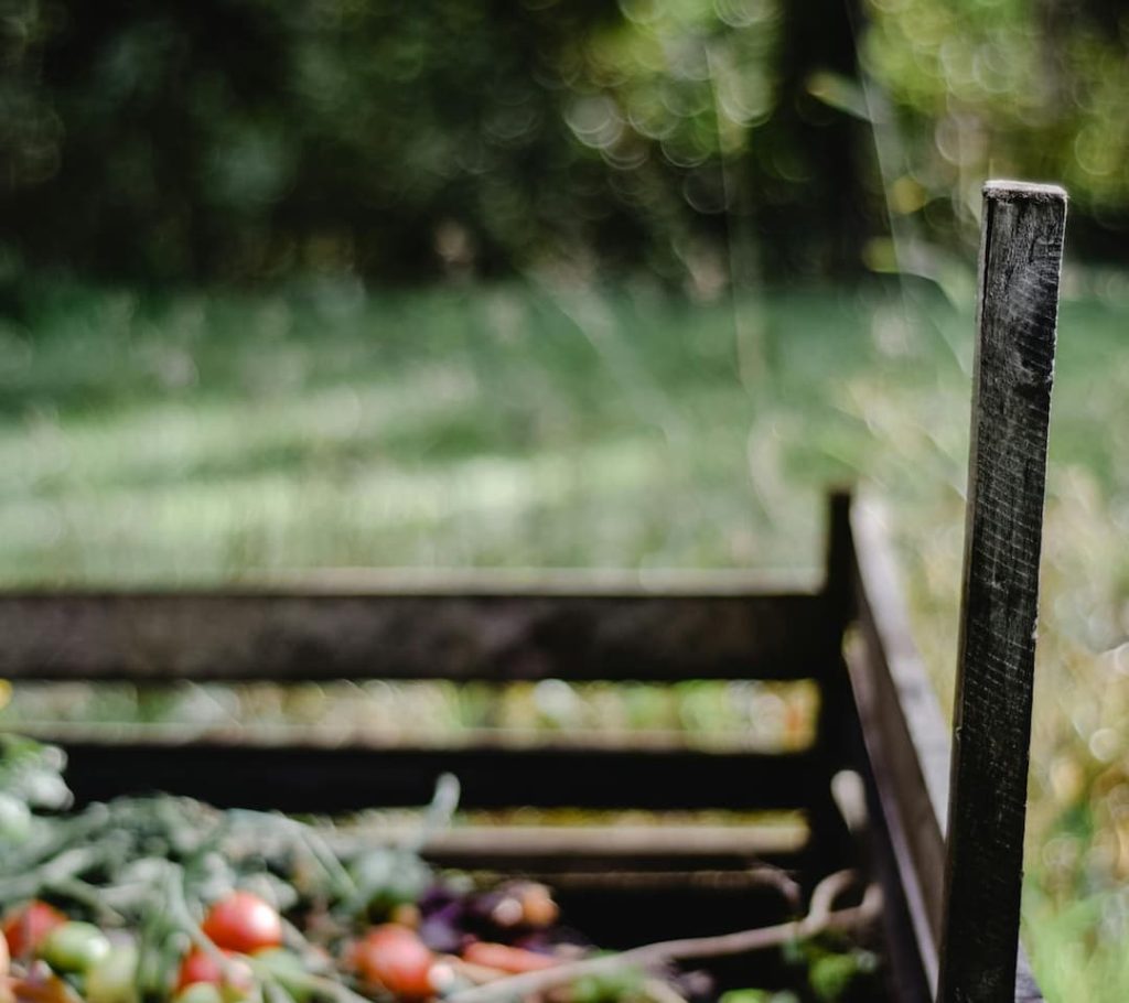 Wooden cart filled with freshly harvested vegetables like tomatoes and beans, placed in a green, sunlit field